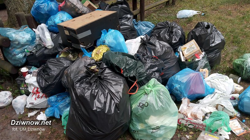 Mieszkaniec dolnośląskiego złapany na podrzucaniu śmieci do lasu