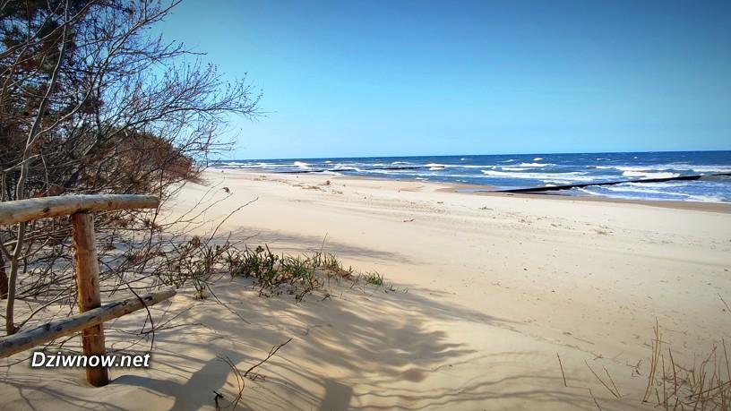 To 4 najpiękniejsze plaże nad Bałtykiem na wrzesień 2023