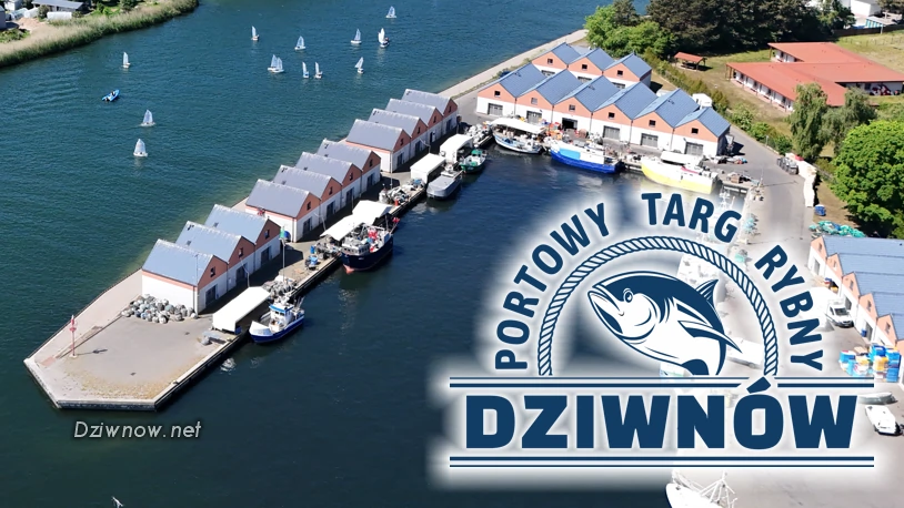 Portowy Targ Rybny w Dziwnowie – święto lokalnych smaków i tradycji już 9 sierpnia!